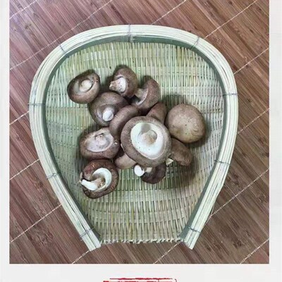 筲箕竹编手工竹编制品工艺品簸箕竹编洗菜盛菜篮子火锅店饭店家用