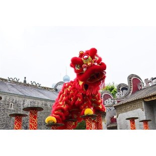 舞狮道具全套南狮醒狮舞龙舞狮服装双人羊毛狮子瑞狮鸣朝狮头