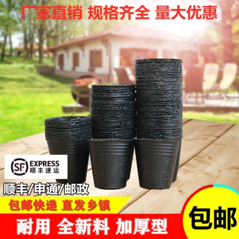 现货速发杯子苗子蔬菜茄子兰花花卉一次性育苗盒农用营养钵培育盆