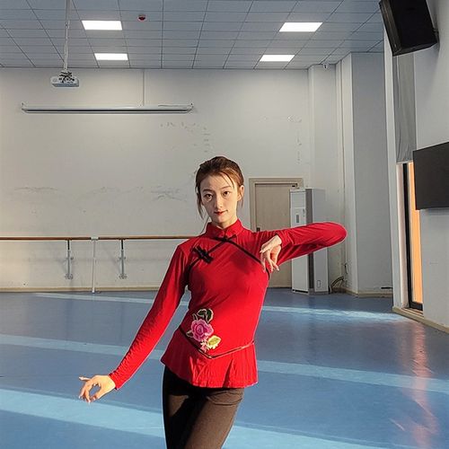 速发胶演秧歌舞蹈州出服古生艺考表演服装成人学典考级练功练习上