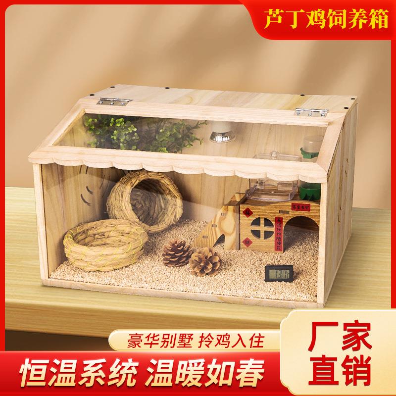 维谦雏鸡鹌鹑小鸡鸟保温饲养爬宠箱鸡鸭鹅鹌鹑芦丁育雏保温箱