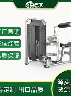 DFT-1695腰部后压腹部前屈器械腹肌背脊训练器山东商用健身器材