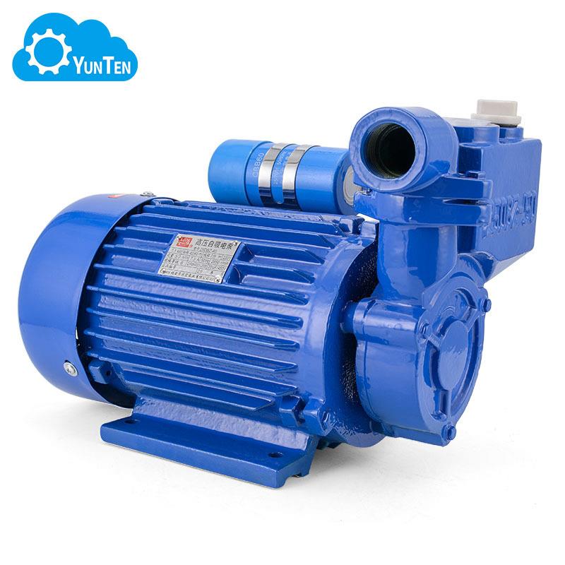 DBZ清水型自吸高压泵单项370w高扬程电动泵大功率有三相