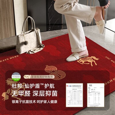新年红色入户地垫2026新款家用进门入门脚垫防滑耐脏入户门口地毯