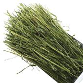 烘干提摩西草嫩草段箱装 500克提草兔饲料龙猫干草厂家