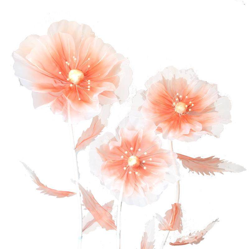 新款婚庆路引花拍照摄影婚礼舞台橱窗商场美陈活动布置纱花丝网花,节庆用品/礼品,装扮布置套餐,淘宝优惠券,粉丝福利购,淘宝优惠卷