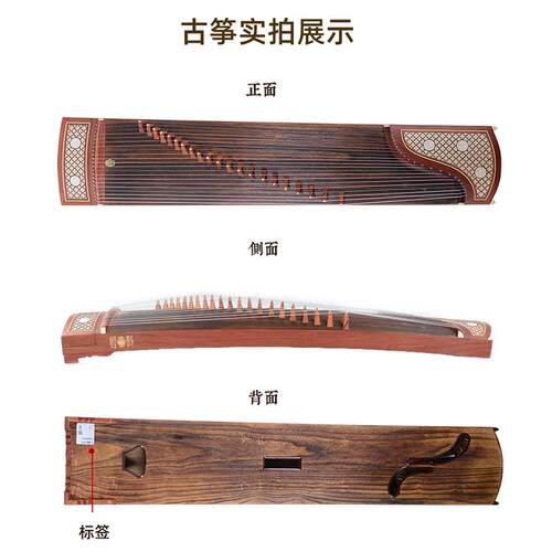 正品694KK蕉窗夜语特氏古夷苏木专业乐器教学考级古筝