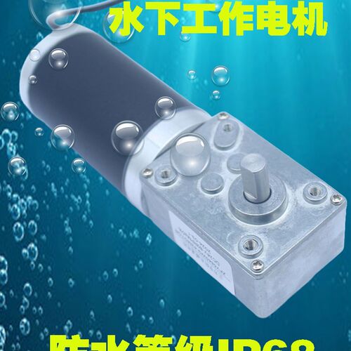 ZH5840-42防水等级IP68减速电机金属齿轮蜗轮蜗杆防尘潜水电机