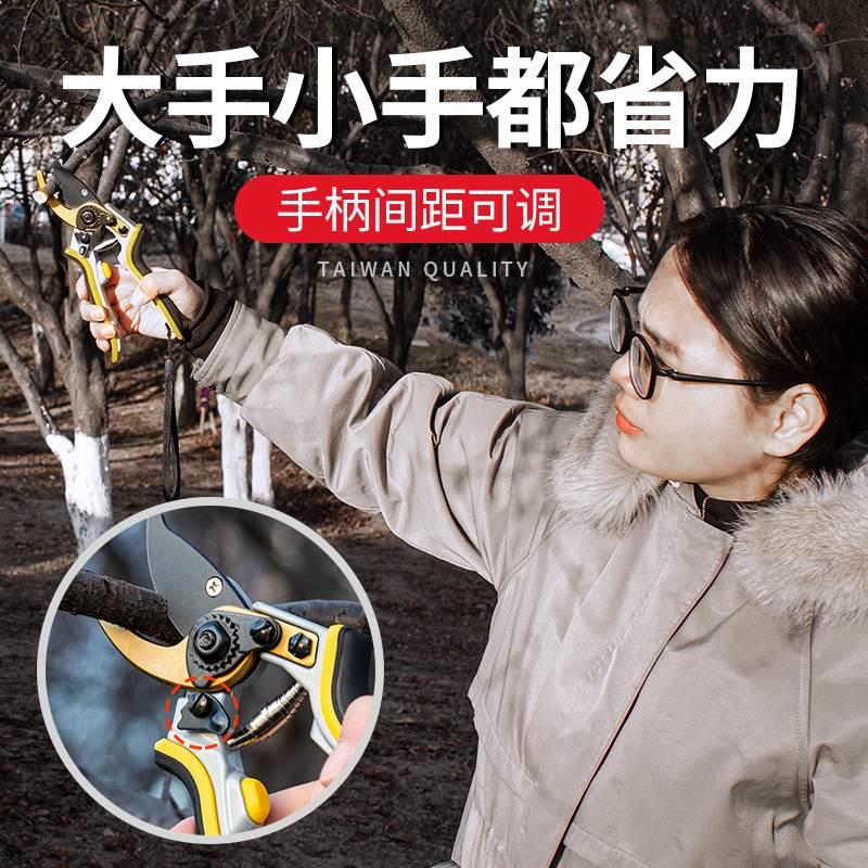 剪枝果树修枝剪刀园艺园林修花枝剪家用花艺专用剪子神器花剪工具