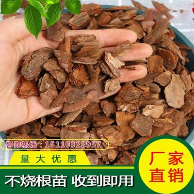 江苏腐熟黄金软树皮发酵松鳞栎石斛蝴蝶兰花种植专用营养植料园艺