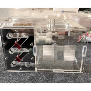 蚂蚁蚁巢试管巢6试管巢大活动区亚克力