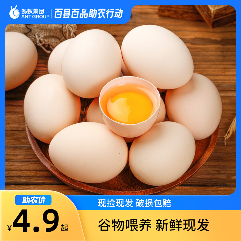 农家散养新鲜土鸡蛋笨鸡蛋