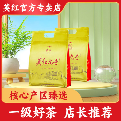 英红九号英德红茶浓香型口粮茶