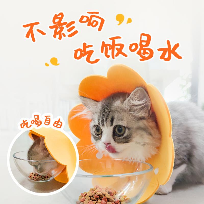 网红。猫咪防咬神器伊丽莎白圈猫咪项圈卡扣脖猫宠物头套防咬防舔