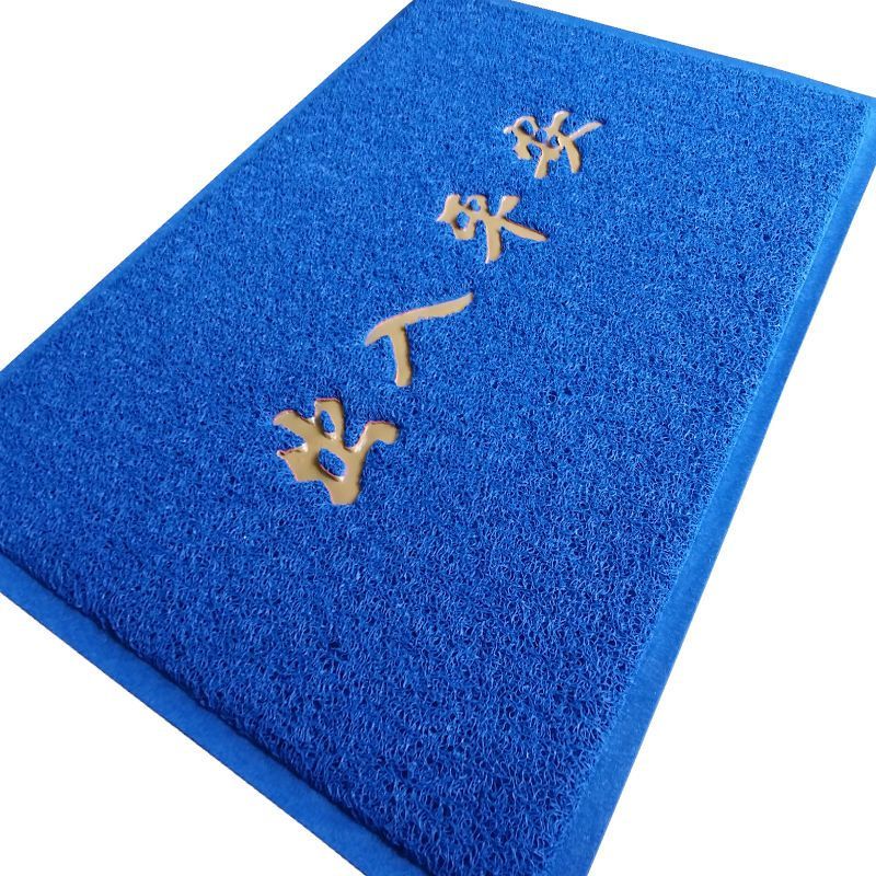 蓝色家用出入平安门垫入户进门门口地垫塑料防滑地毯户外门厅脚垫