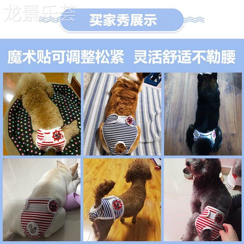 母猫防交配猫咪纸尿裤母猫狗生理生理裤