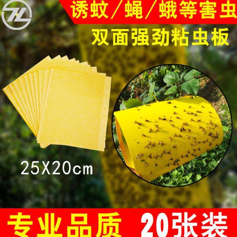 极速灭蝇神器黄板双面粘虫板诱虫板蓟W马农庄蔬菜黑虫蚊虫果蝇蓝