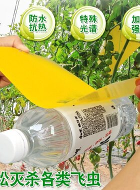 极速2021 New Real Fruit Fly Trap board yellow sticky solid v