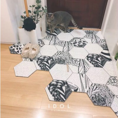 floor Earth 极速ins simple entrance door doorway Nordic mat