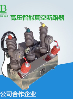 ZW32-12630-20KA系列智能真空断路器 内置PT带熔管计量组合