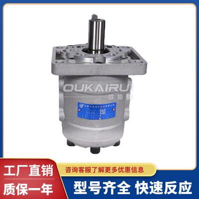 合肥长源液压齿轮泵CBTD-F5CBT-F525/F532/F540/F550/环卫车油泵