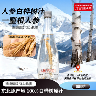6瓶0脂肪 光合颜究所100%人参白桦树汁玻璃瓶320ml 过节送礼