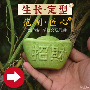 范制葫芦套模型文玩水果葫芦生长定型模具天然小葫芦塑料定型模子