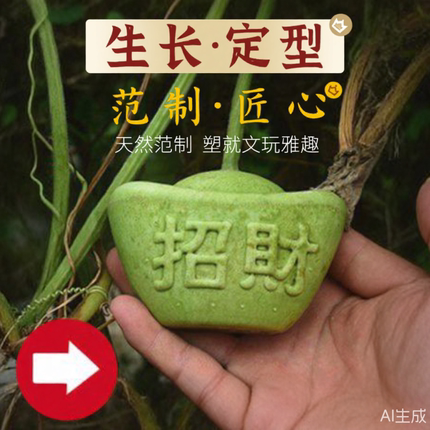 范制葫芦套模型文玩水果葫芦生长定型模具天然小葫芦塑料定型模子