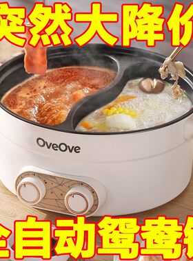 外贸爆款特价鸳鸯电火锅家用多功能一体式双控鸳鸯锅大功率电热锅