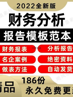 财务报表分析报告word模板名企上市公司财务总结汇报成品案例范文