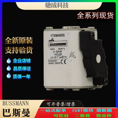 巴斯曼170M4955 170M4956 170M4957 原装进口优价供应 方体熔断器