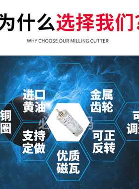 ZGB42RH/FH 12V/24V 直流减速马达电机