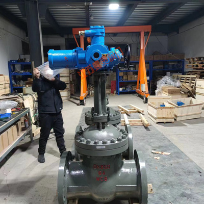 DN125隔爆型矿用电动闸阀 MKZ941H-160C煤安矿用法兰闸阀