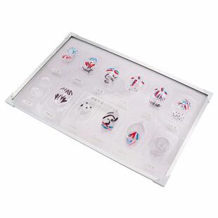 动植物细胞有丝分裂生物模型系列减数分裂模型磁吸式3228可普教具