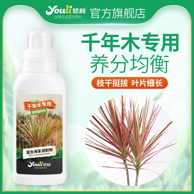 悠利千年木营养液肥料专用肥龙血树七彩盆栽室内家庭园艺肥