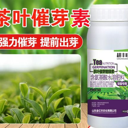 茶叶专用催芽茶树催芽茶叶920叶面肥催芽素多芽嫩芽壮茶厚催芽灵