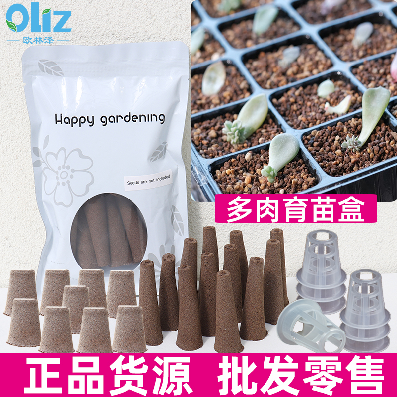 多肉植物播种盒扦插神器无土栽培育苗块熟料育苗盒水培穴盘保温箱