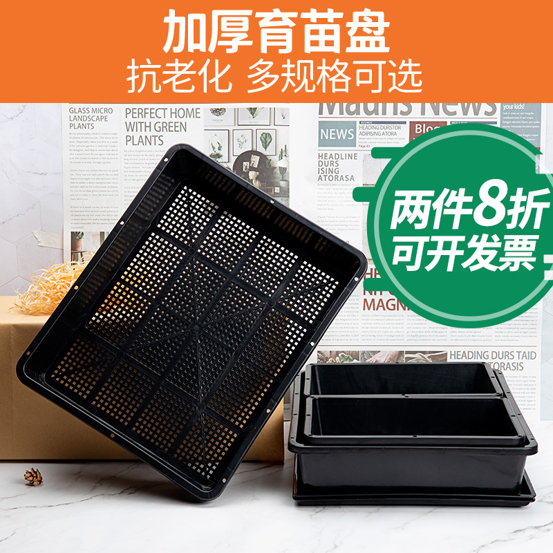 塑料多肉育苗盘小号带盖加厚叶插盆播种器育苗托盘闷养盆黑方托架