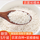 白糯米当季 新鲜白长糯米包粽子5斤香糯米新长糯米饭团糍粑大米