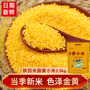 陕北纯正米脂黄小米熬粥出油一级米脂小米非陈米5斤黄小米袋装
