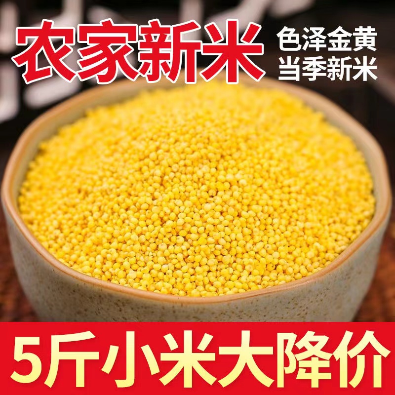 黄小米新粗粮正宗小米月子小米粥陕北黄小米五谷杂粮