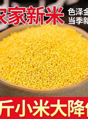 黄小米新粗粮正宗小米月子小米粥陕北黄小米五谷杂粮