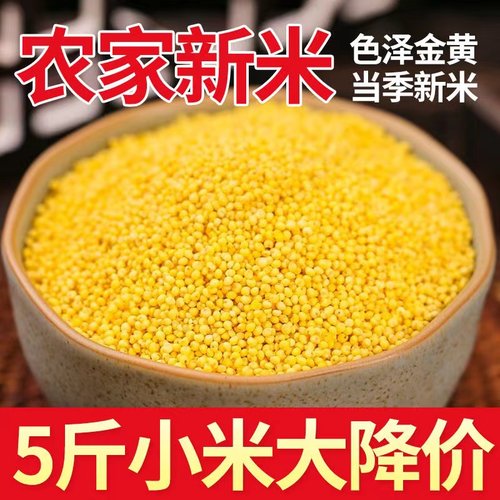 新粗粮陕西黄小米月子米