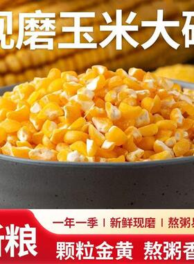 东北大玉米碴子新鲜粮食颗粒金黄好煮易烂香甜可口玉米碴煲汤软糯