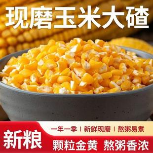 东北大玉米碴子新鲜粮食颗粒金黄好煮易烂香甜可口玉米碴煲汤软糯