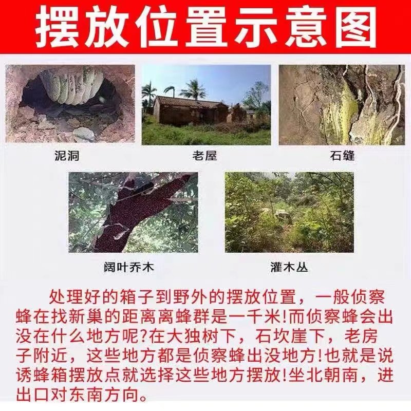 蜂巢【老牌】诱蜂膏诱蜂神器招蜂水野外招蜂诱蜂引蜂收捕野蜜蜂露