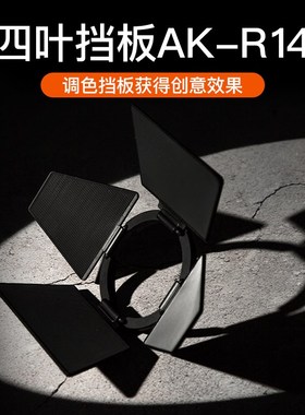 AK-R1附件AD100pro V1 H200R圆形灯头柔光球四页色片蜂窝束光筒反
