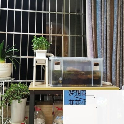 推荐沼泽过滤植物过滤o箱自制diy配件全套小型乌龟缸周转箱养殖箱