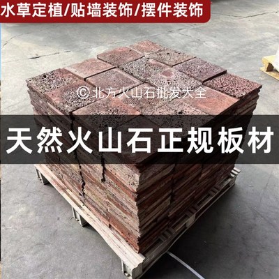 火山石片水草定植块环杯打孔火山岩薄片不锈钢网片鱼缸造景素材