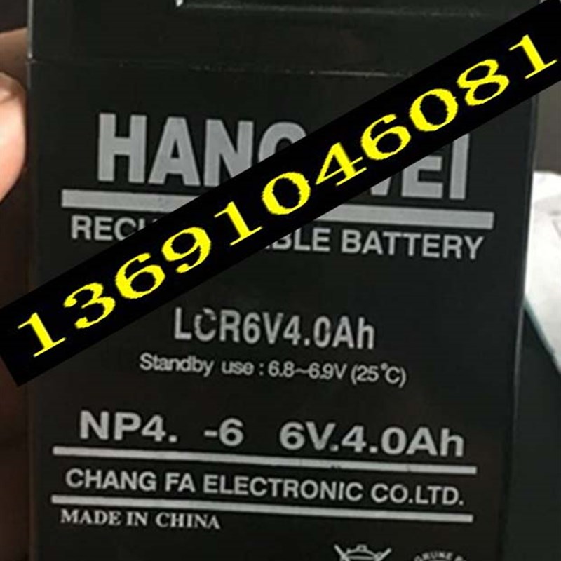 HANGWEI蓄电池LCR6V4.0AH NP4-6 6V4.0AH 4.5AH电子称 照明灯电池